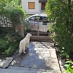 Apartamento Ca Di Na *